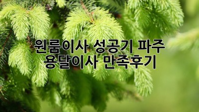 원룸이사 성공기🚚 파주 용달이사 만족후기✨